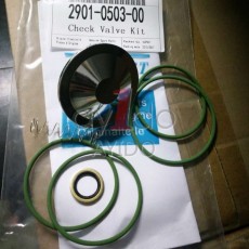 AYIDO CHECK VALVE KIT 2901050300